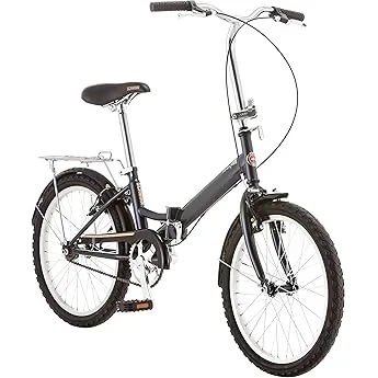 Schwinn Loop