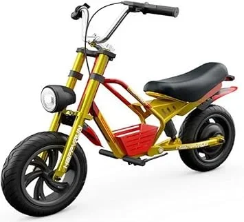 Best Electric Mini Motorcycle Guide 2026
