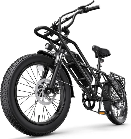 Best Fat Tire Ebikes Selection Guide 2026