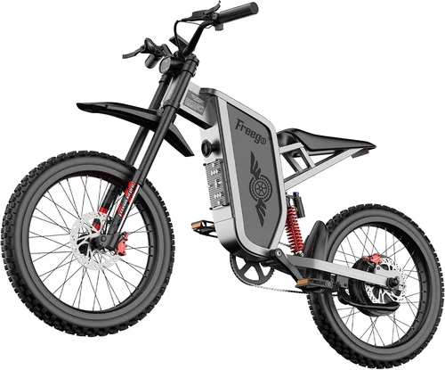 Freego X2Pro Electric Motorcyc