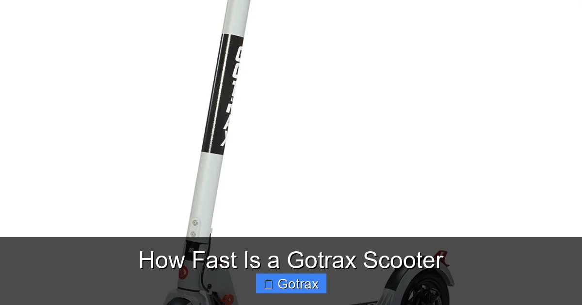 How Fast Is a Gotrax Scooter
