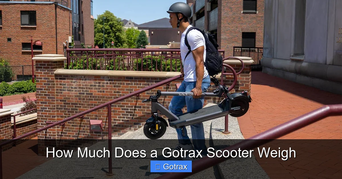 How Much Does a Gotrax Scooter Weigh