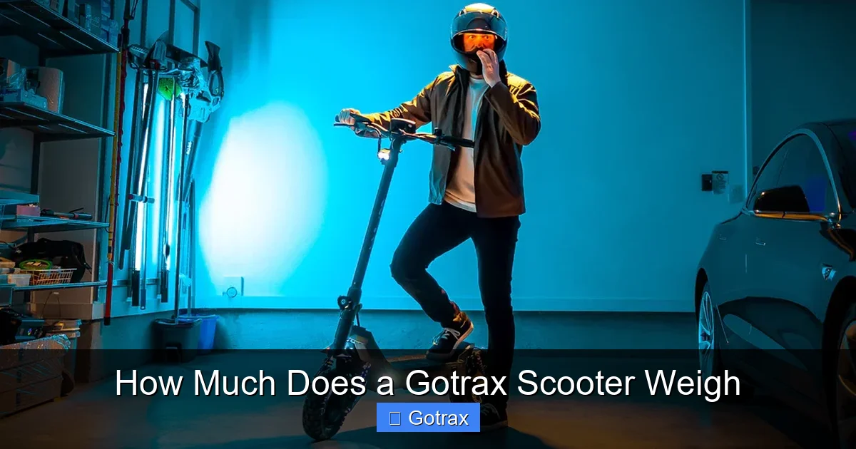 How Much Does a Gotrax Scooter Weigh