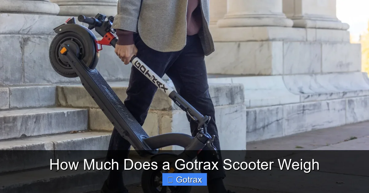 How Much Does a Gotrax Scooter Weigh