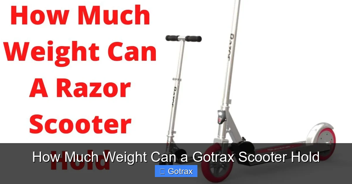 How Much Weight Can a Gotrax Scooter Hold
