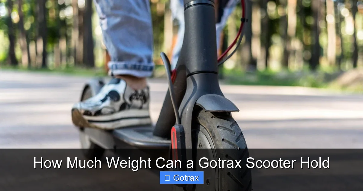 How Much Weight Can a Gotrax Scooter Hold