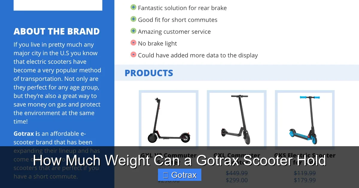 How Much Weight Can a Gotrax Scooter Hold