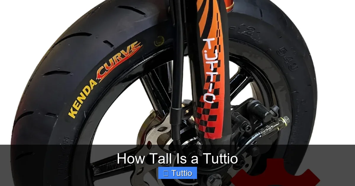How Tall Is a Tuttio