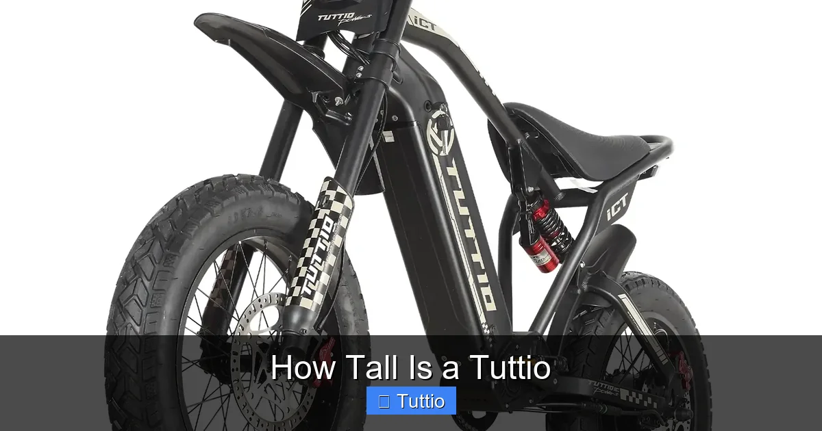 How Tall Is a Tuttio