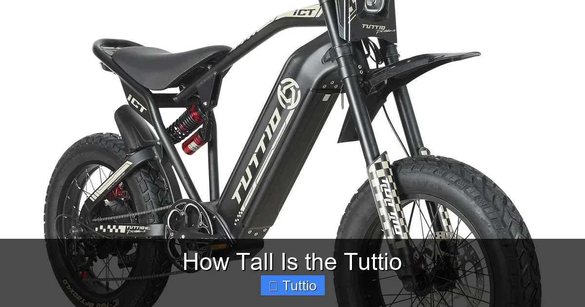 How Tall Is the Tuttio