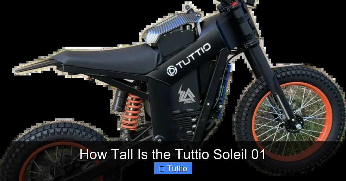How Tall Is the Tuttio Soleil 01