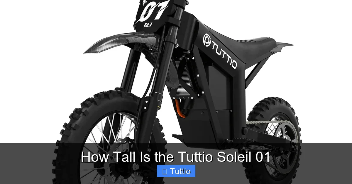 How Tall Is the Tuttio Soleil 01