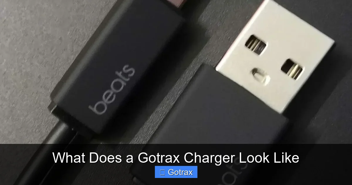 What Does a Gotrax Charger Look Like