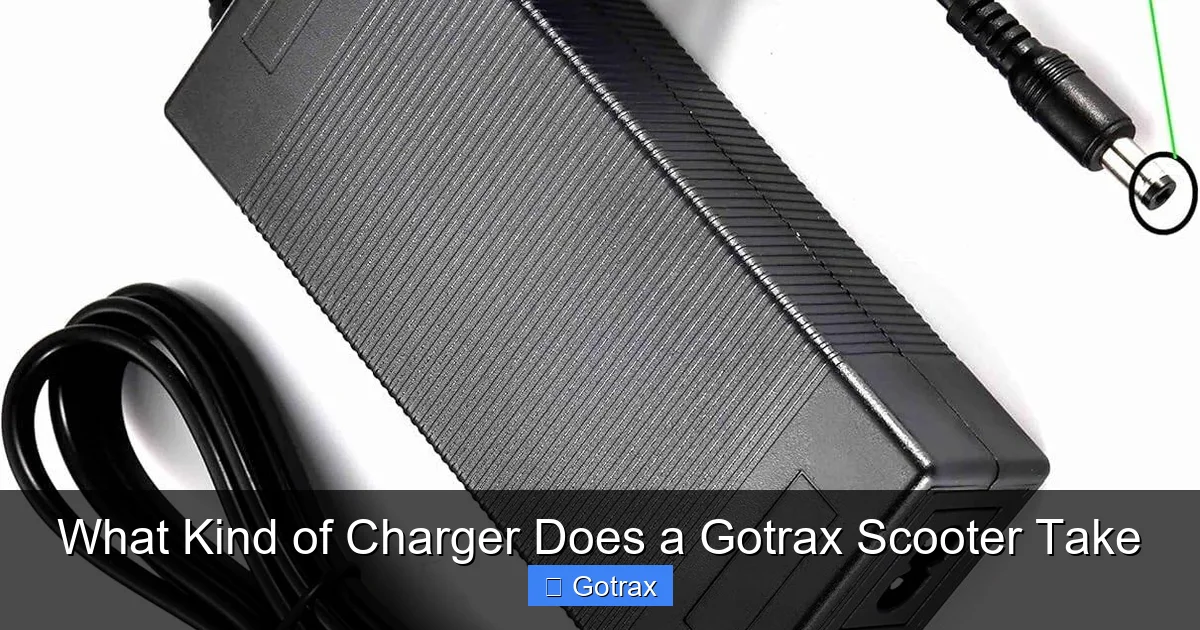 What Kind of Charger Does a Gotrax Scooter Take