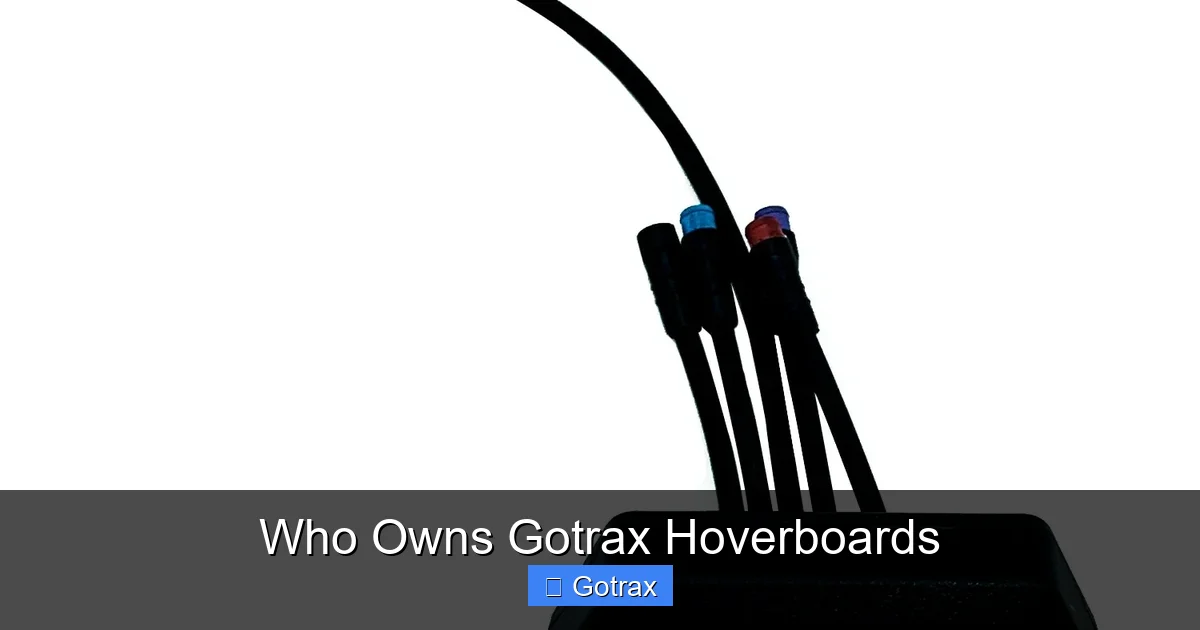 Who Owns Gotrax Hoverboards