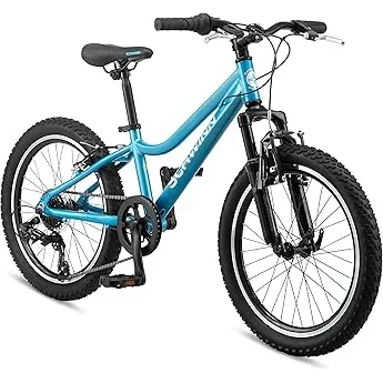 Complete Electric Bike Buying Guide 2026