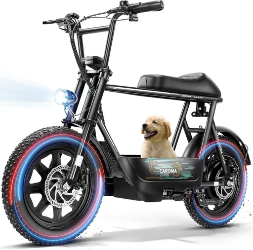 Complete Electric Scooter Buying Guide 2026