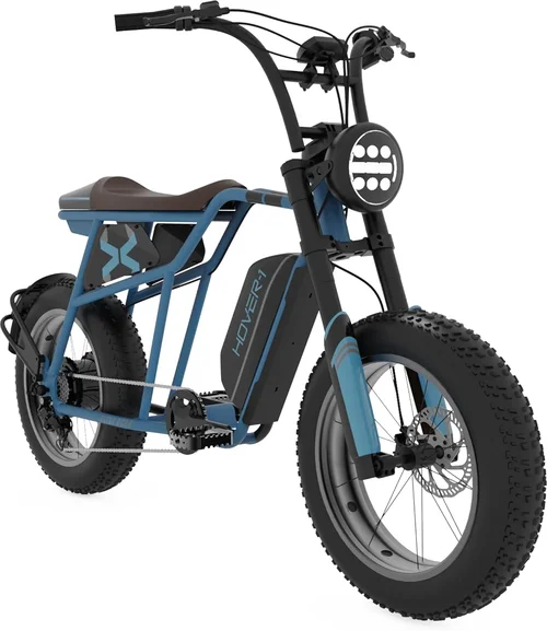 Electric Bike Selection Guide 2026