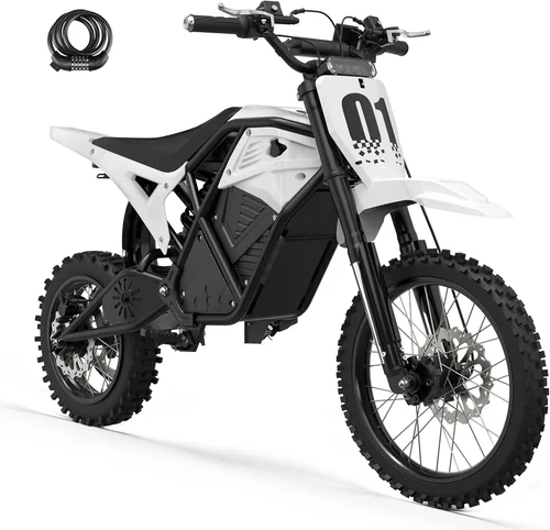 Electric Dirt Bike Purchase Guide 2026
