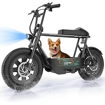 Best Electric Scooter Buying Guide 2026