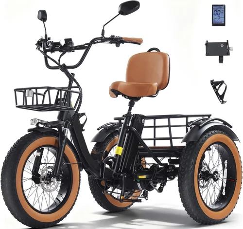 Best Fat Tire Electric Trike Buying Guide 2026