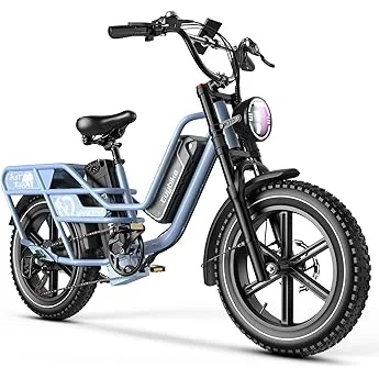 Best Fat Tire Folding E-Bike Guide 2026