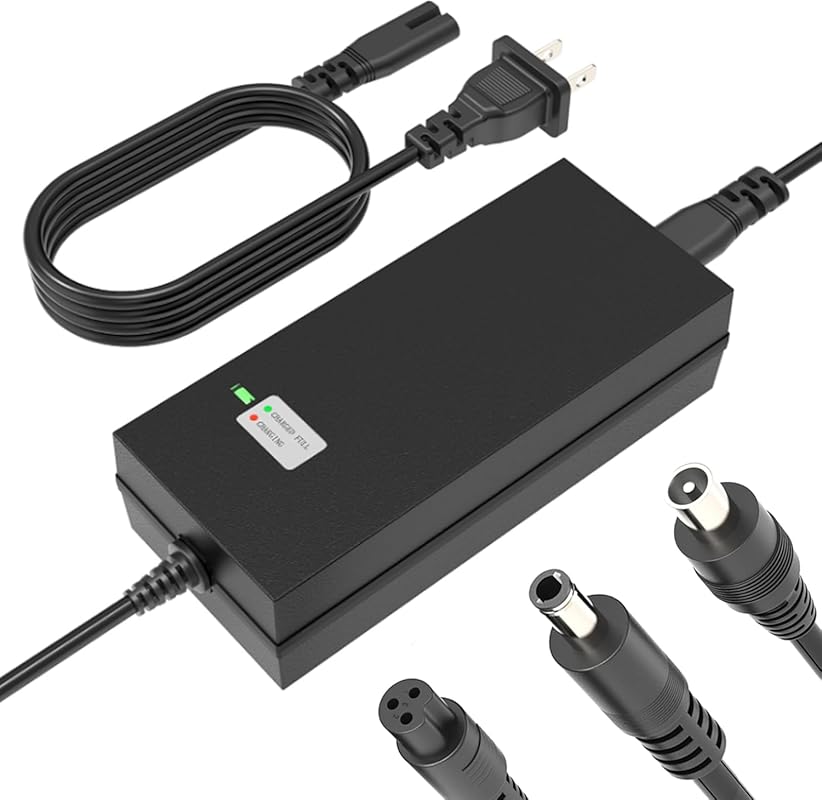 EVAPLUS 42V 2A Fast Charger for 36V Lithium Batteries with 3 Connector